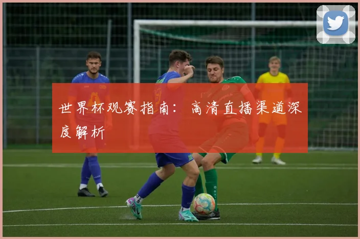世界杯观赛指南：高清直播渠道深度解析